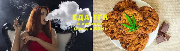 индика Бугульма