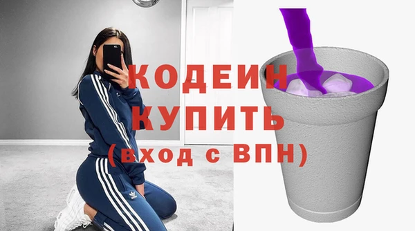 индика Бугульма