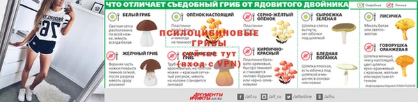 гидра Бронницы