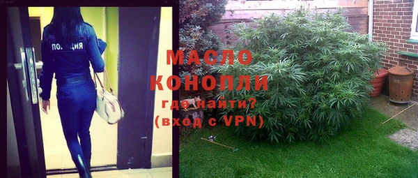 гидра Бронницы
