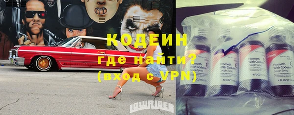 a pvp Бородино