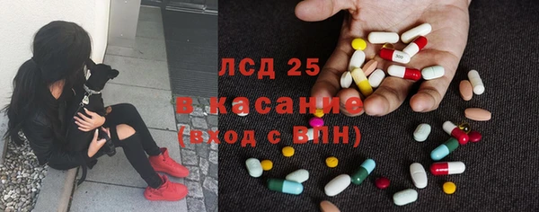 гидра Бронницы