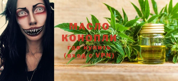 индика Бугульма