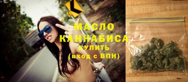 индика Бугульма