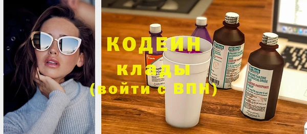 индика Бугульма