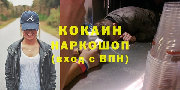 a pvp Бородино