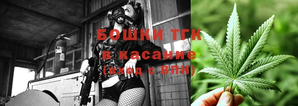 гидра Бронницы