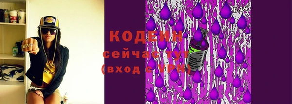 a pvp Бородино