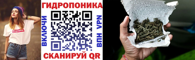 Конопля OG Kush  Чита 